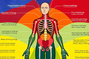 Characteristics of Living Things and Organization