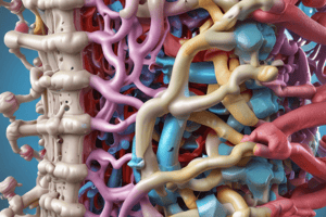 Vertebral Column: Structure, Function, and Stability