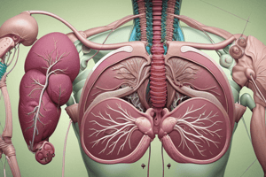 Biliary System Review