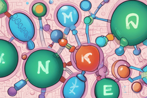 Alanine Transaminase (ALT) Enzyme Function