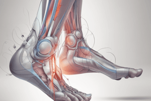 Inversion Ankle Sprain: Symptoms and Risk Factors