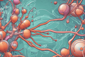 Regulación de la glucolisis y gluconeogénesis