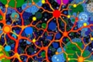 The Nervous System: Divisions and Cell Types