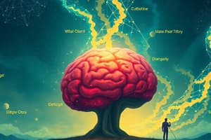 Introduction à la Psychologie Cognitive