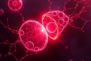 Meiosis Overview and Stages