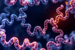 Computational Protein Structure Prediction