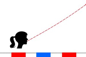 Persönlichkeitstheorien und Korrelationskoeffizient