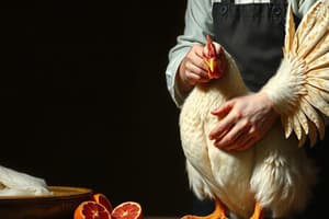 Poultry Classification and Preparation