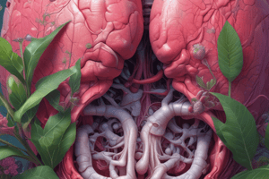 Biology: Chapter 5 - Tissues Organs