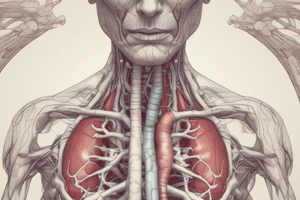 Lecture 8 Cardiovascular vessels 2 A+P2