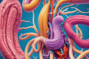 Digestive System Chapter 23: Overview and GI Tract Layers