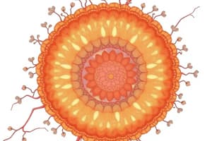 Cell Membrane Structure and Function