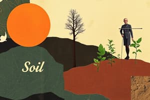 Types of Soil: Sandy, Silt, and Clay