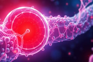 Cell Membrane Potential and Properties