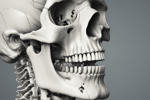 Osteokinematics of the TMJ: Depression and Elevation