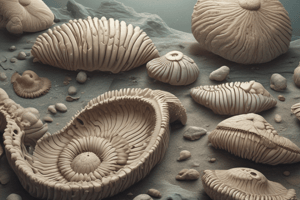 Paleozoic Brachiopod Fossils and Trochozoans in BIOL 108 Winter 2024