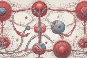 extended response practice respiratory and circulatory system