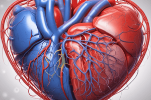 Cardiovascular System Pressure and Pumping Function Quiz