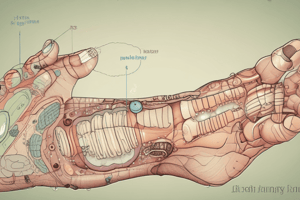 Foot Reflexology Points Quiz