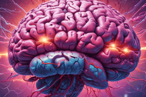 Neuroscience: Cerebellum and Diencephalon Functions