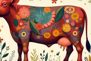 Animal Nutrition