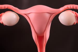 Human Reproductive System: Ovaries and Hormones