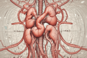 Syndrome d'atteinte tubulo-interstitielle en médecine