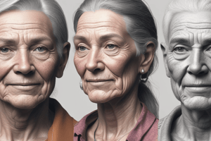 Adulthood Stages and Aging Process