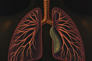 Respiratory System Self-Assessment