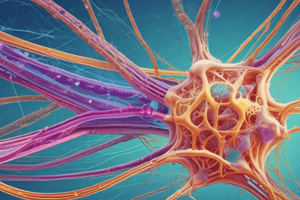 Cytoskeleton Basics