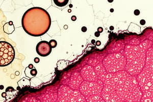 Microscopic Tissue Analysis Quiz