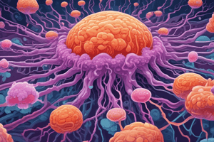 Epithelial Cell Polarity Quiz