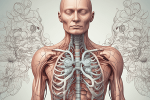 Respiratory System Anatomy Quiz