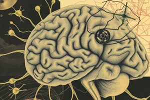 Neuroglia Biology Quiz