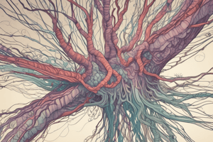 Cells of the nervous system-nerouns and neuroglia