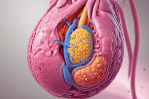 Urolithiasis and Renal Calculi Quiz