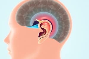 Otosclerosis and Auditory System Quiz