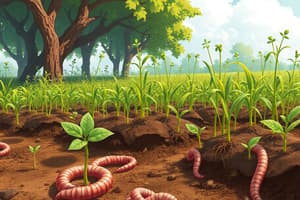 Impact of Earthworms on Agriculture