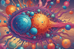 Le Lymphocyte T Mature : Structure et Fonction