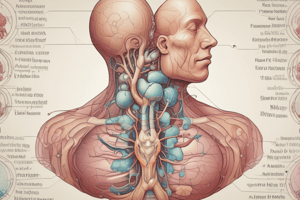 Endocrine System: Thyroid Gland and Hormones