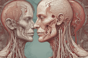 Angiology of Head and Neck