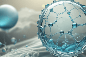 Hydrophilic and Hydrophobic Molecules in Water