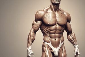 Physiology of Muscle Tone