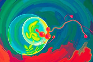 Prenatal Development: Zygote Stage