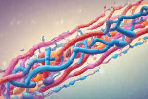 Rifamycins Mechanism of Action