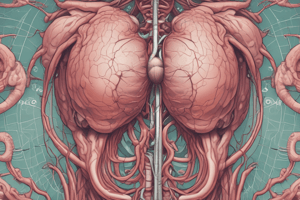 Anatomy: Ureters and Suprarenal Glands Quiz