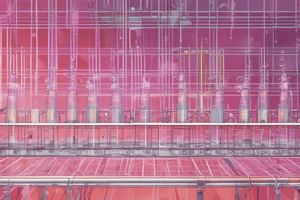 Agarose Gel Electrophoresis in Genetics