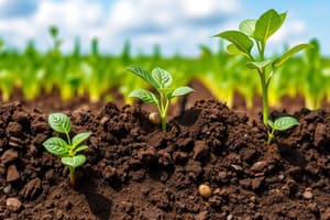 Soil Fertility and Plant Nutrition