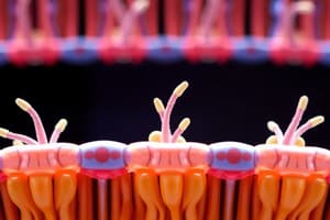 Cell Membrane and Transmembrane Proteins