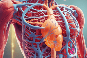 Homeostasis Overview